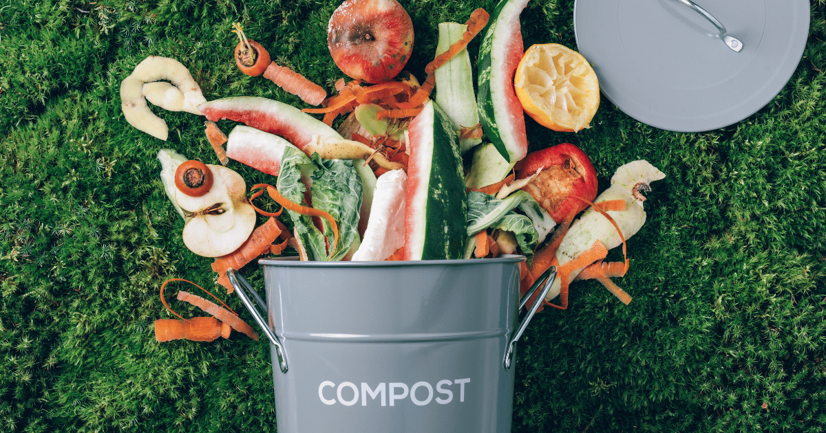 Maître composteur : un métier d’avenir pour travailler dans la transition écologique